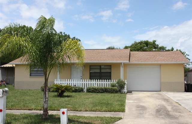 6656 KNIGHTSBRIDGE DRIVE - 6656 Knightsbridge Drive, Pasco County, FL 34653