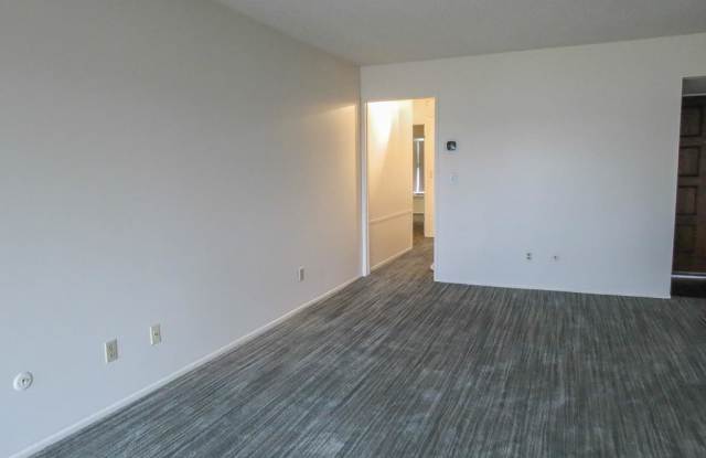 1635 Cliffs Landing Gallery 4