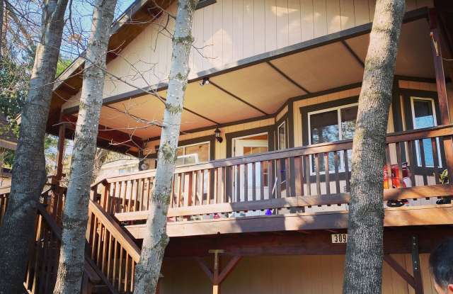 309 Forest Cir photos photos