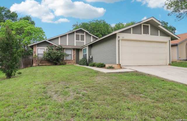 345 Cypressfox photos photos