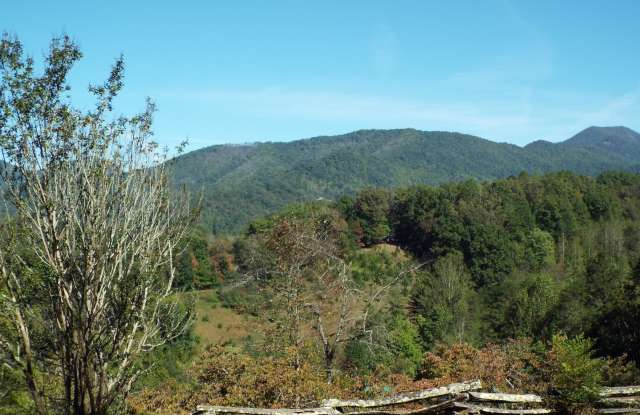 2 Bed 1 Bath Cabin- All Utilities Included! $1400 a month, year-long lease starting December 1st 2025 photos photos