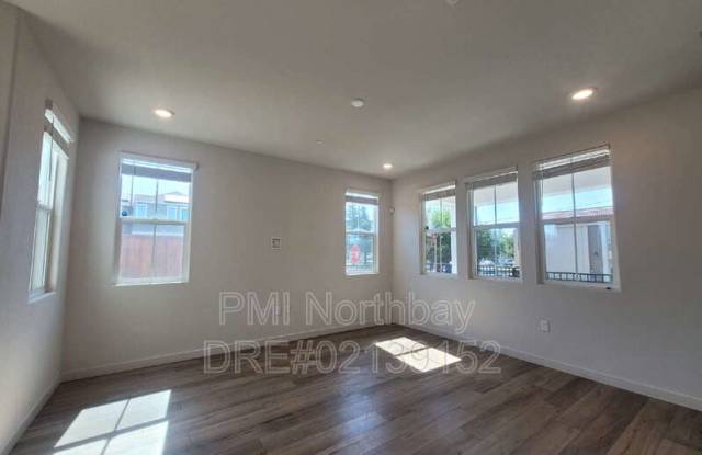 109 Clownfish Street Gallery 2
