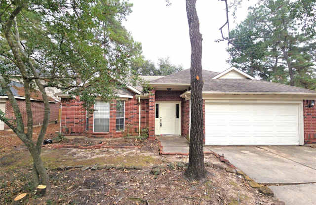 46 Sweetdream Place - 46 Sweetdream Place, The Woodlands, TX 77381