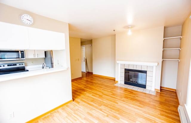 1 Bed 1 Bath Condo in Capitol Hill Gallery 4