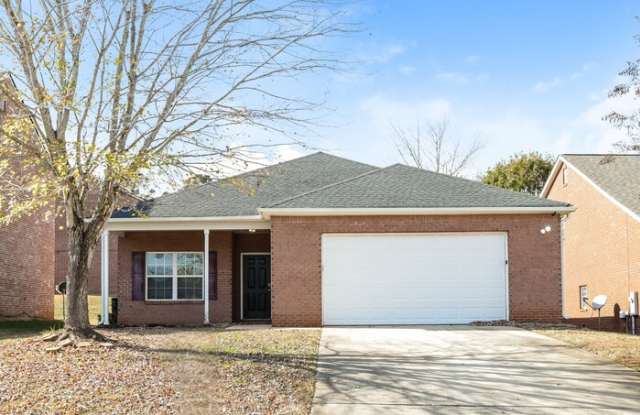 304 Draba Lane - 304 Draba Lane, Locust Grove, GA 30248