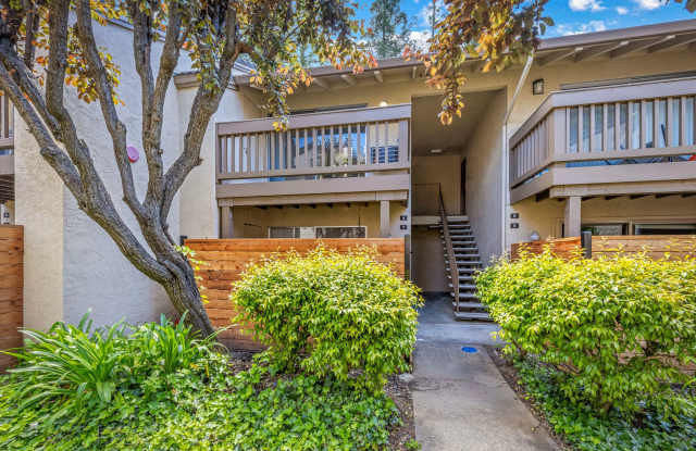 Walnut Creek! 1 bedroom 1 bathroom, Walk to Bart  Bay Club, just minutes to Downtown! photos photos