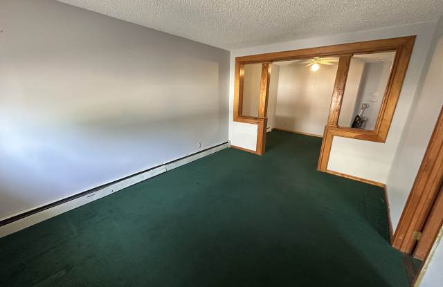 119 Ludington Street - Lower Gallery 2