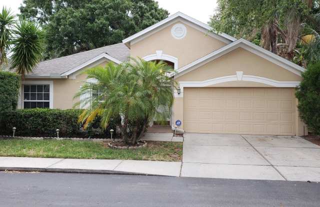 8833 Cypress Hammock Drive - 8833 Cypress Hammock Drive, Egypt Lake-Leto, FL 33614