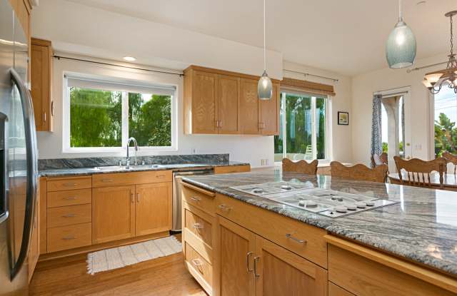 955 Saxony Road - 955 Saxony Rd, Encinitas, CA 92024