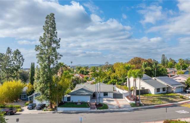 25981 Cordillera photos photos