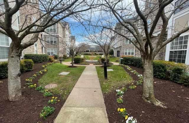 508 SUNSET VIEW Terrace SE unit: 108 photos photos