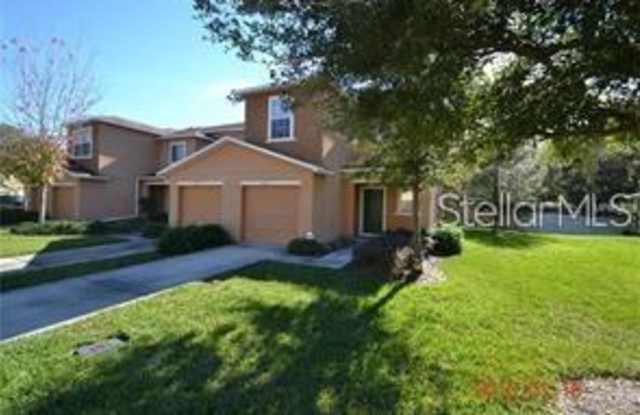 6955 HAWTHORNE TRACE LANE - 6955 Hawthorne Trace Lane, Riverview, FL 33578