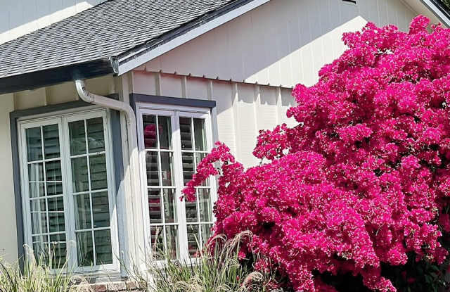 90 Dominican Drive photos photos