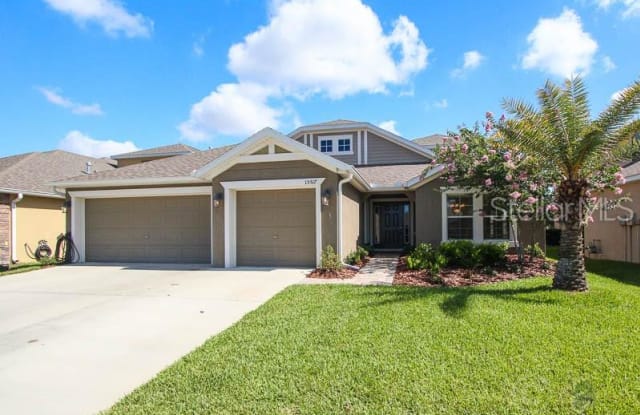 15517 STARLING WATER DRIVE - 15517 Starling Water Dr, Fish Hawk, FL 33547