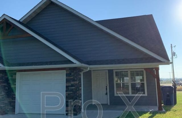 401 N Elliott - 401 North Elliott Street, Webb City, MO 64870