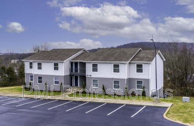 123 Kingsridge Dr photos photos