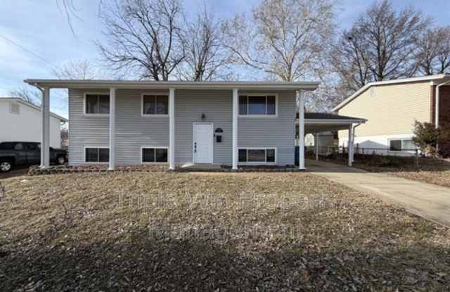 5243 Ville Maria Ln photos photos