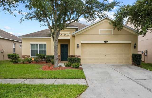 10738 PICTORIAL PARK DRIVE - 10738 Pictorial Park Drive, Tampa, FL 33647
