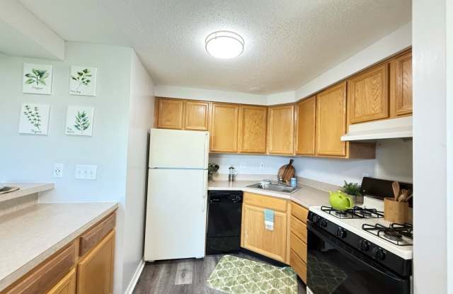 Ashmore Trace Apartments of Greenwood Gallery 1