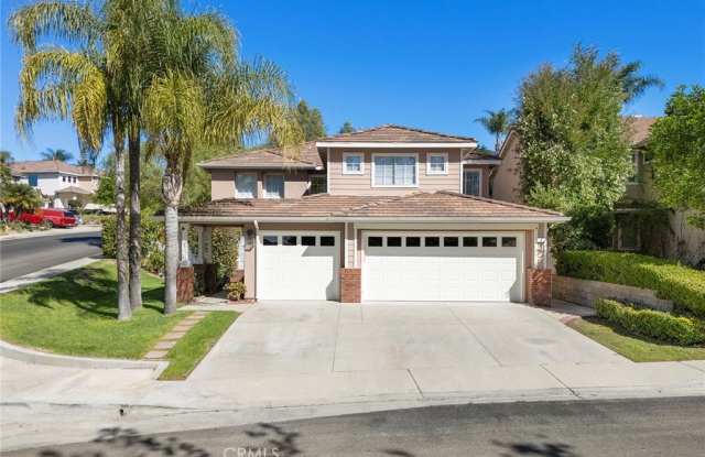 1 Calico Court - 1 Calico Court, Coto de Caza, CA 92679