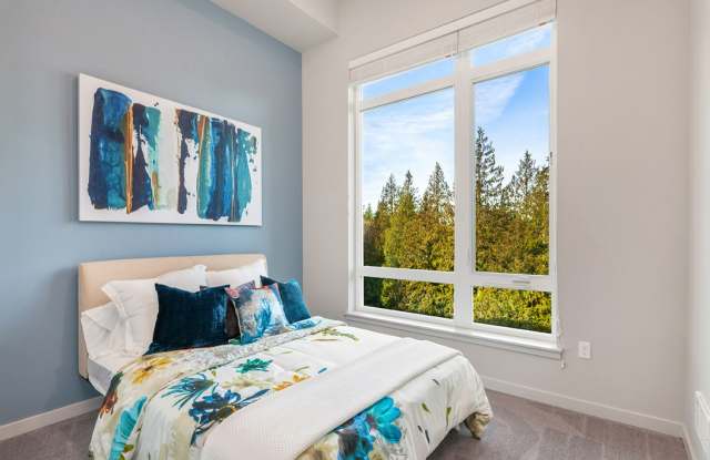 SKY Sammamish Gallery 3