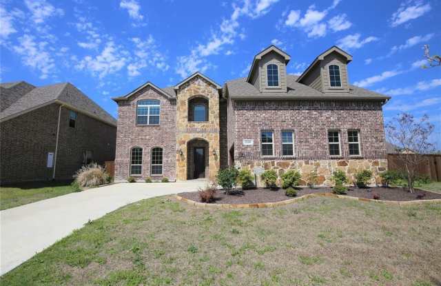 14326 Strawflowers Drive - 14326 Strawflowers Drive, Frisco, TX 75035