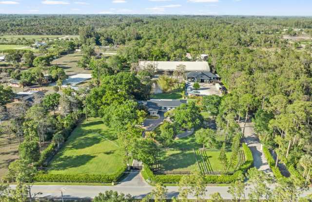 15161 Collecting Canal Road Gallery 2