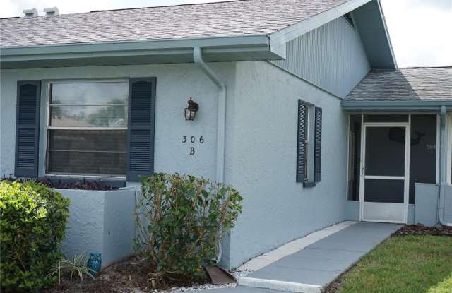 306 FOWLING CT - 306 Fowling Court, Sun City Center, FL 33573