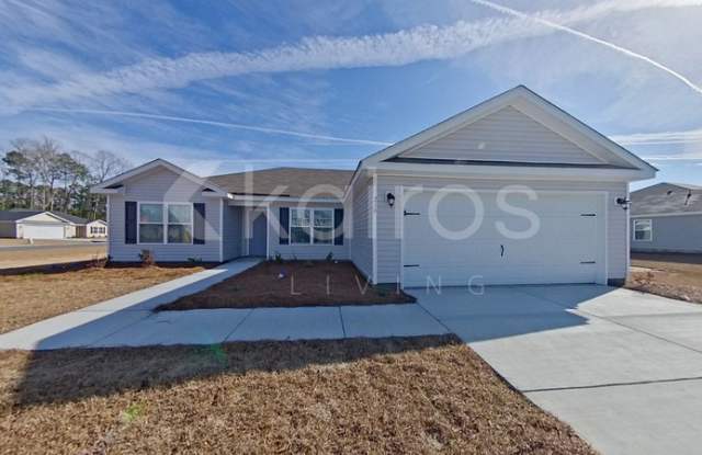 216 Lodgepole Pine Way - 216 Lodgepole Pine Way, Effingham County, GA 31329