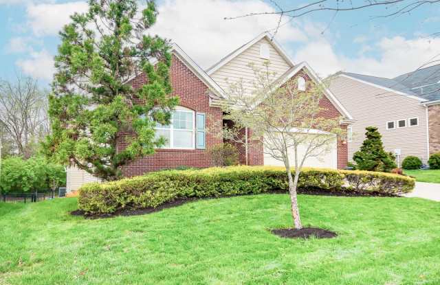 East Jefferson Large Home For Rent Gallery 4