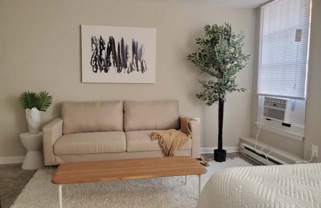 The Paramount Apartments Gallery 4