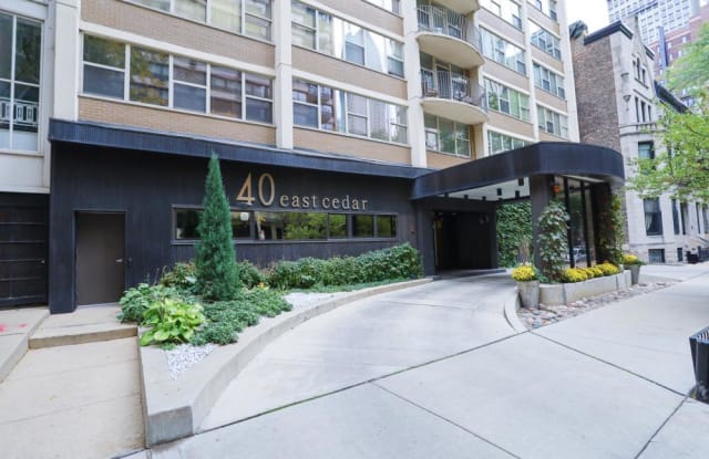 40 E CEDAR ST - 40 East Cedar Street, Chicago, IL 60611