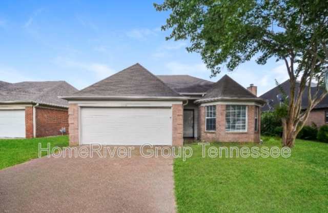 2216 Lake Springs Ln photos photos