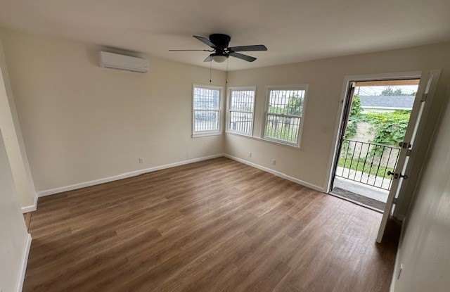 11220 1/2 Concert photos photos