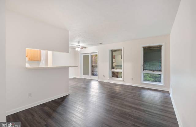 23250 CHESTNUT OAK Court Gallery 2