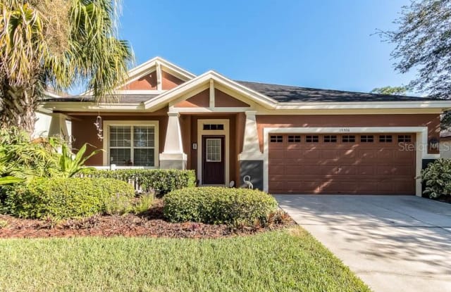 15506 GANNETGLADE LANE - 15506 Gannetglade Lane, Fish Hawk, FL 33547