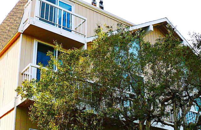 6511 Pacific Ave. photos photos