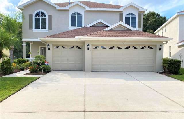 9313 MANDRAKE COURT - 9313 Mandrake Court, Pebble Creek, FL 33647