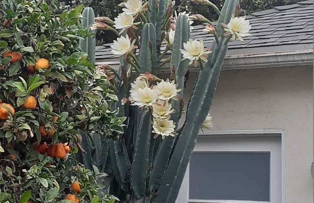 2219 Glendon Ave - 2219 Glendon Avenue, Los Angeles, CA 90064