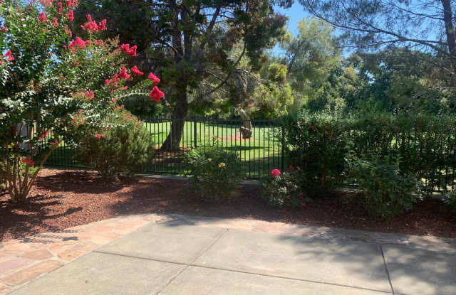 Paradise Valley Home! photos photos
