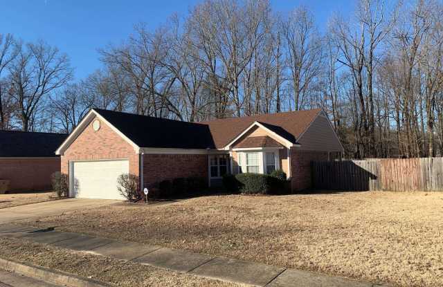 4095 HAMPTON MANOR Gallery 2