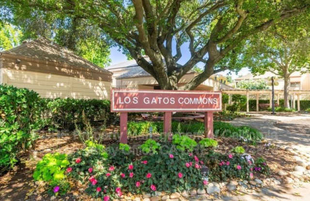 451 Alberto Way - 451 Alberto Way, Los Gatos, CA 95032