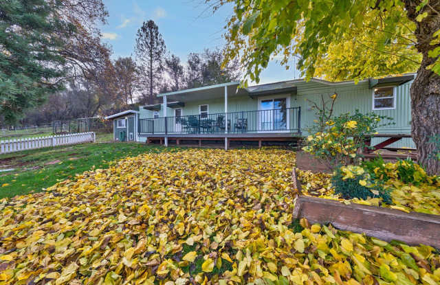 Cozy 1 Bedroom ADU With Stunning Pasture  Pond Views in Rescue! - 4595 Red Bud Lane, El Dorado County, CA 95672