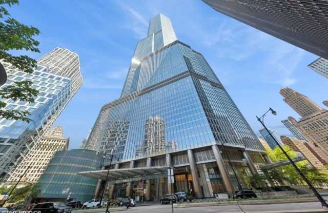 401 N WABASH Avenue photos photos