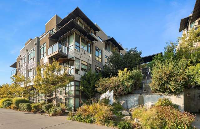Beautiful Studio Condo by Gasworks Park Gallery 3