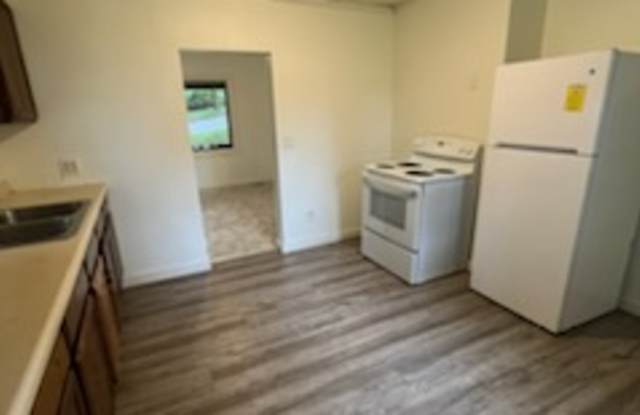 1013 Forest Street - 1013 East Forest Street, Wausau, WI 54403