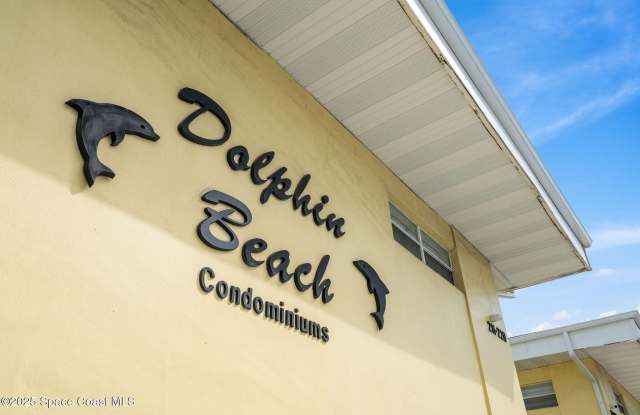Dolphin Beach photos photos