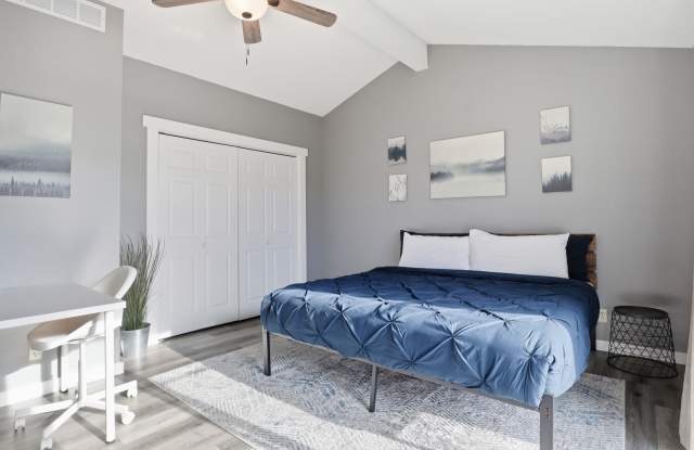 279 Spring Road Gallery 4