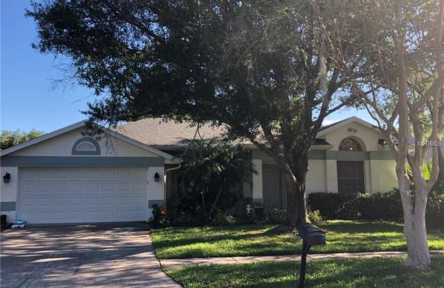 6505 APPALOOSA DRIVE - 6505 Appaloosa Drive, Citrus Park, FL 33625