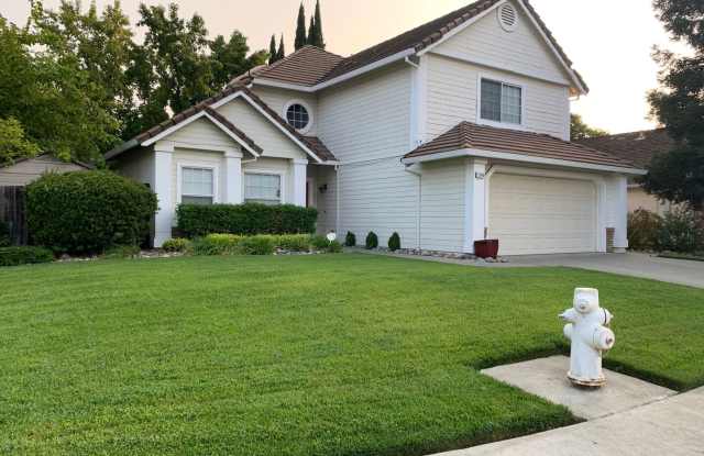 Meadowlands photos photos